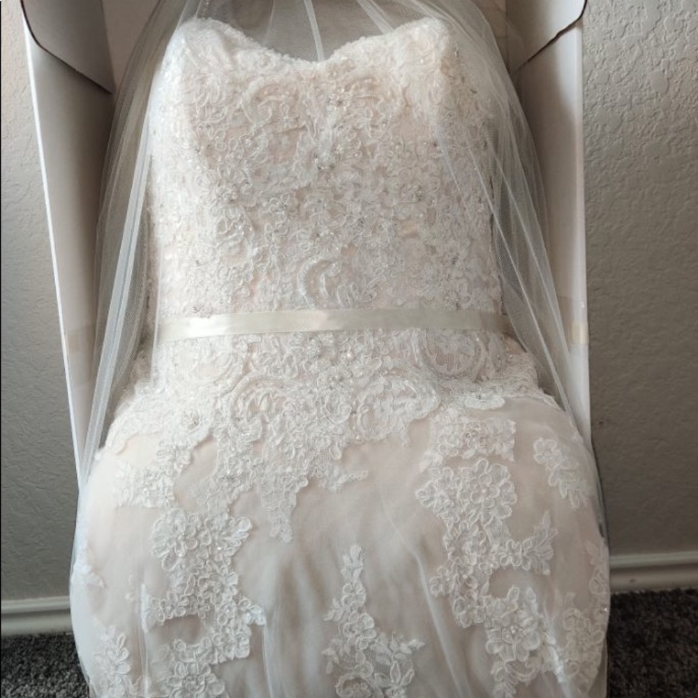 David Tutera for Mon Cheri